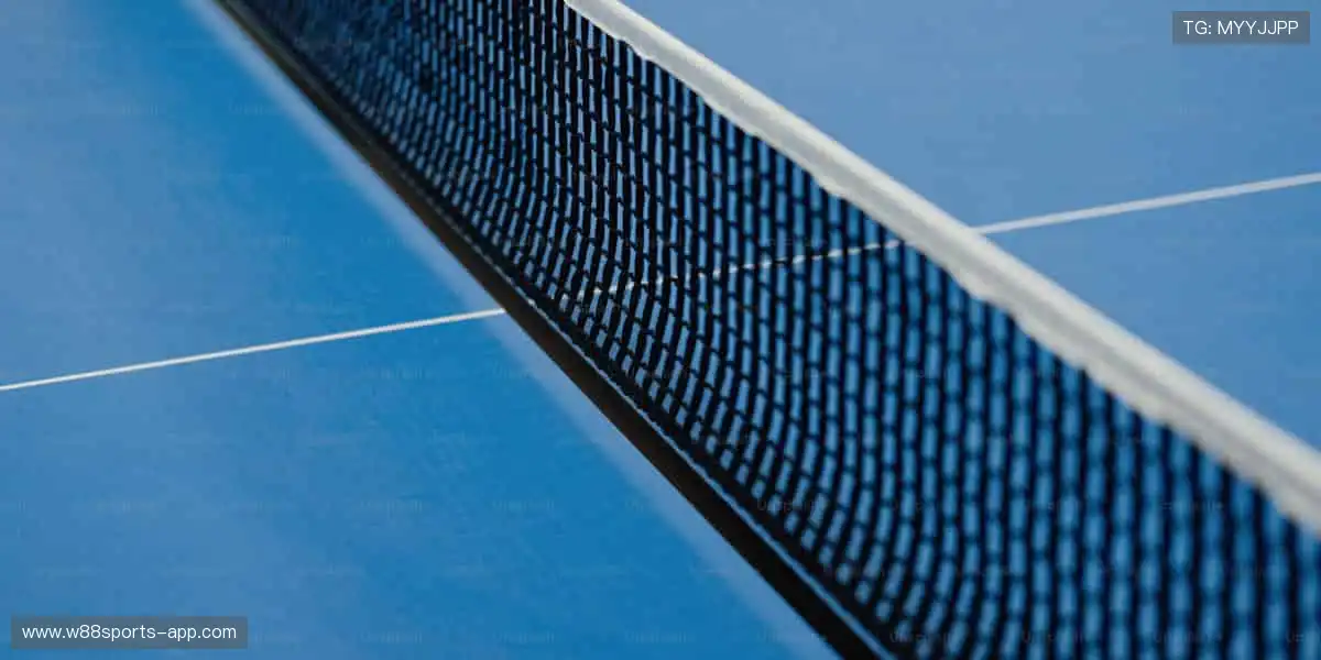 👕潮流装备，个性十足！🎁送礼首选，传递体育精神！